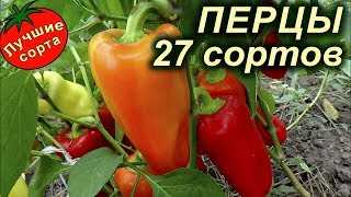 Свойства