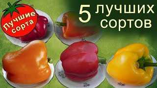 Название