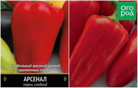 Лучшие