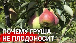 Недостаток