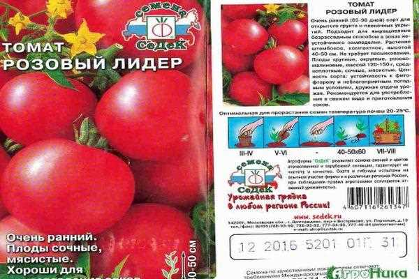 Помидор