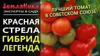 Красная