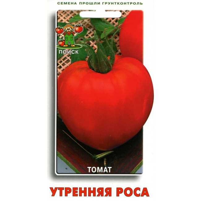Выбор