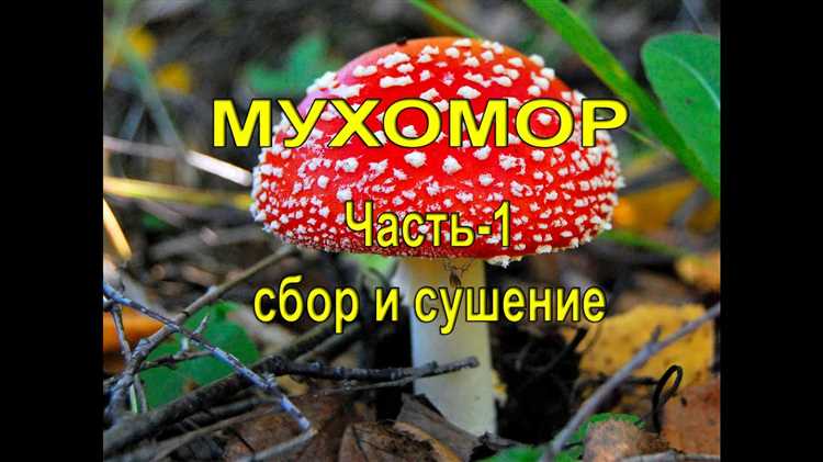 Необычные