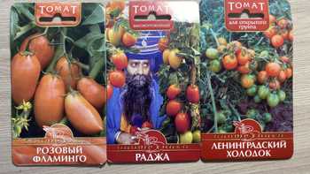 Экзотическое