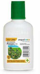 Ракурс