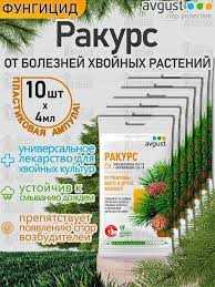 Понятие