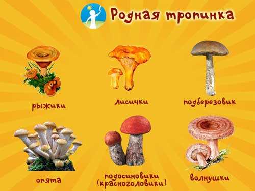 Путешествие
