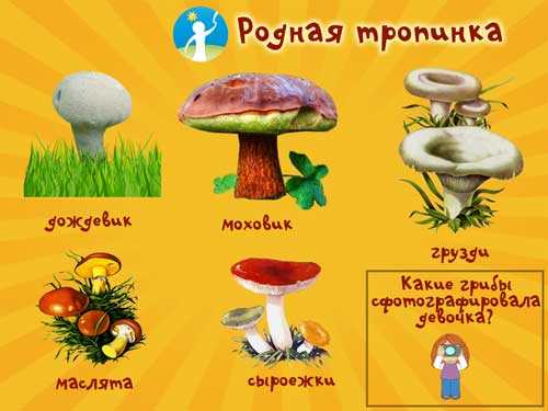 Встреча