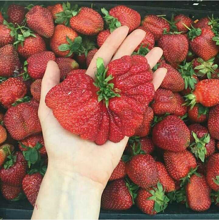 Как