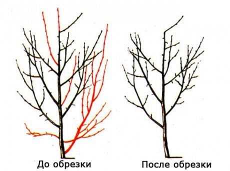 Уход