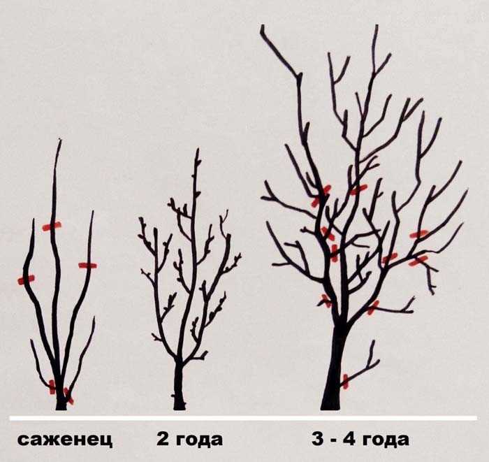 Подготовка