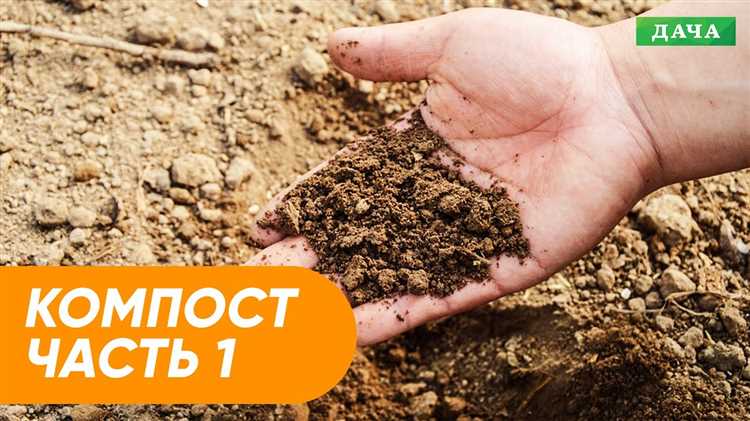Популярные