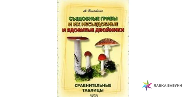 Таблица