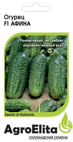 Популярные