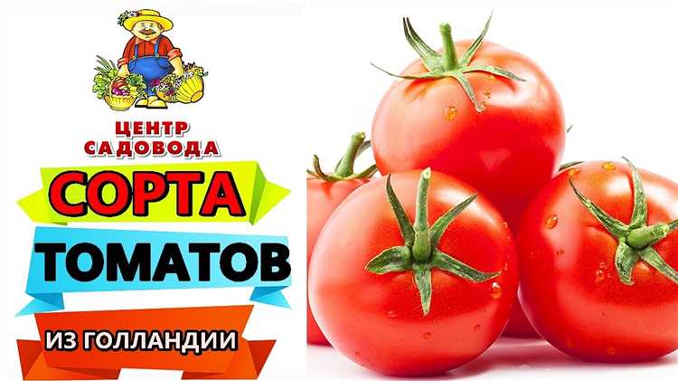 Полезные