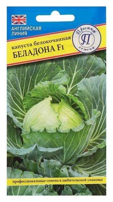 Подготовка