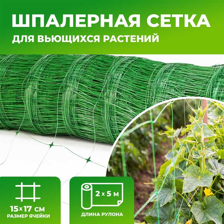 Выбор