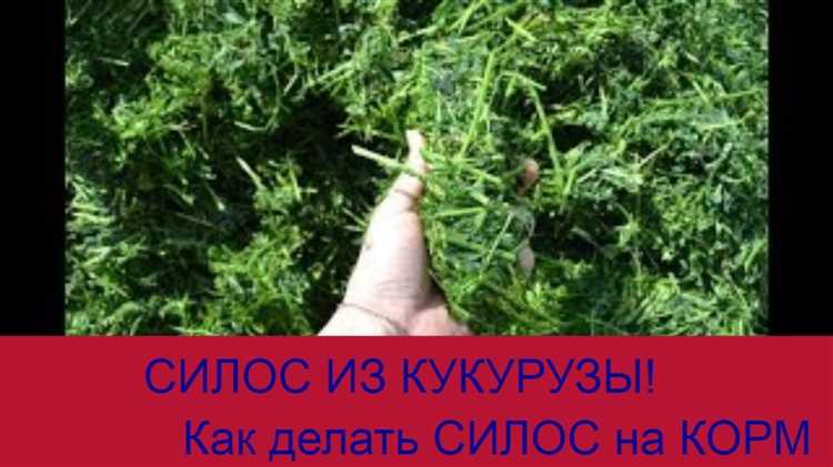 Технология