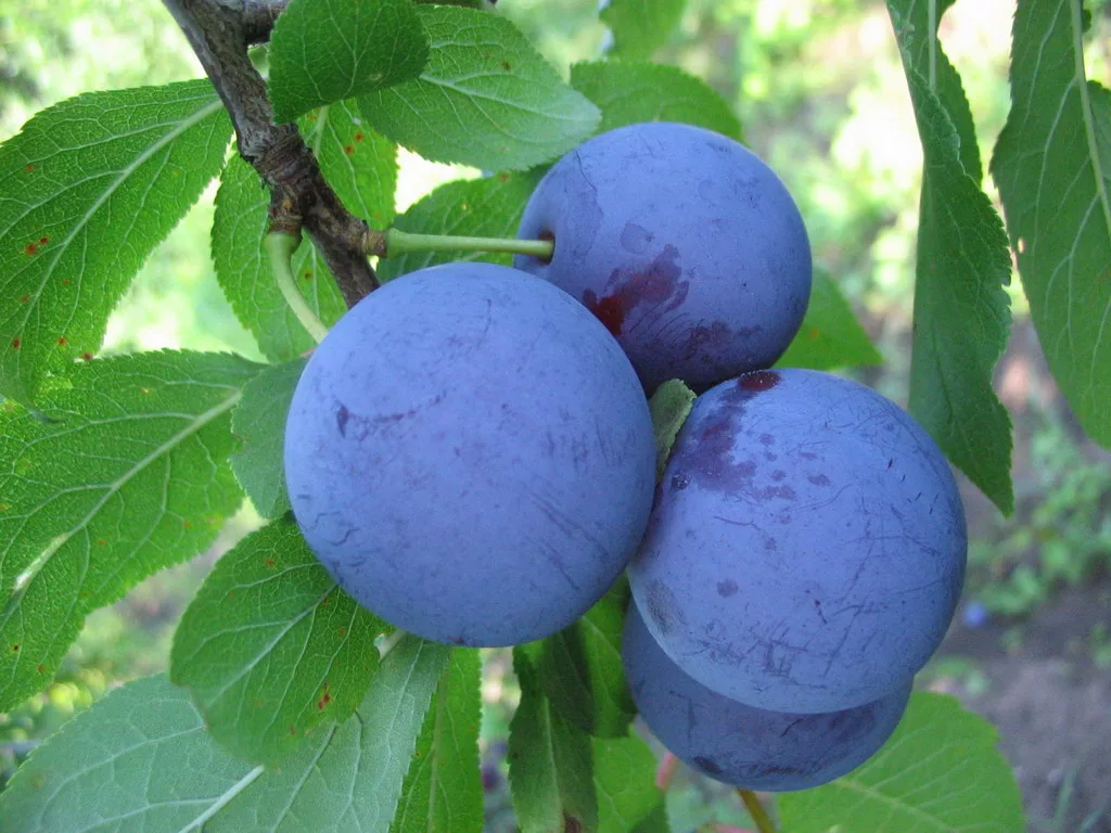 Секреты
