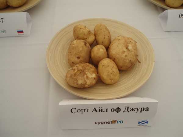Уход
