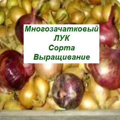 Огоссить