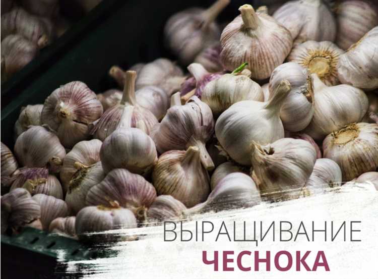 Уход