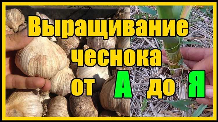 Сбор