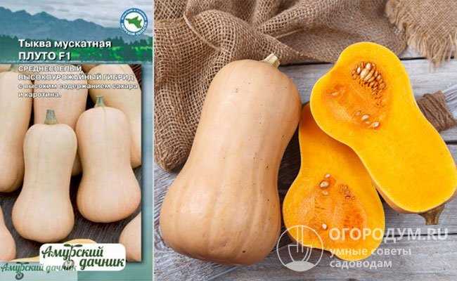 Условия