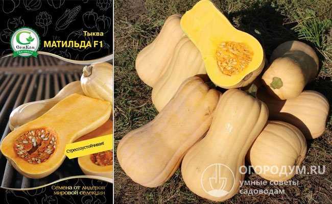 Описание