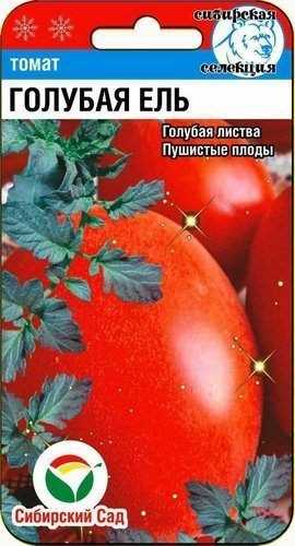 Особенности