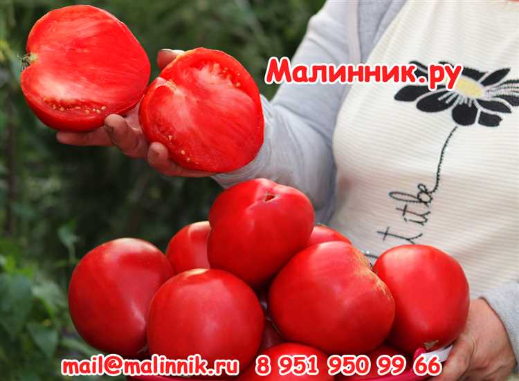 Описание