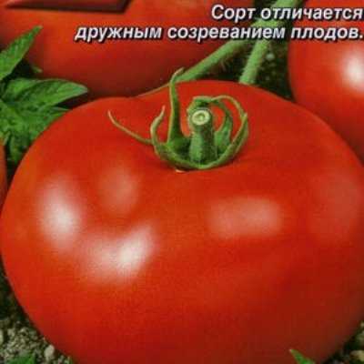 Преимущества