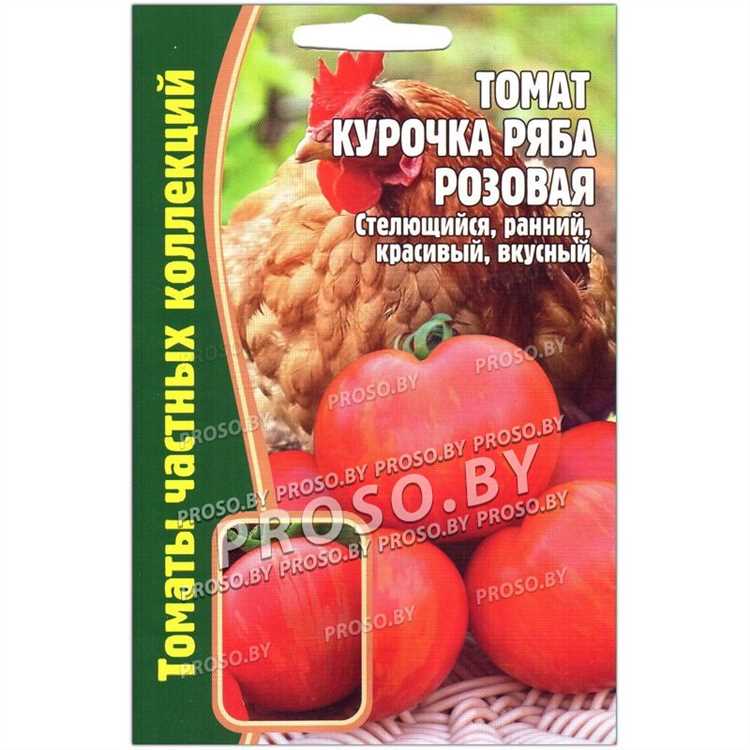 Посев
