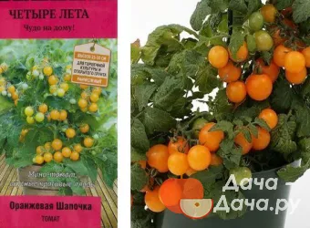 Выращивание