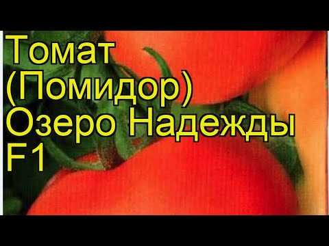 Отзывы