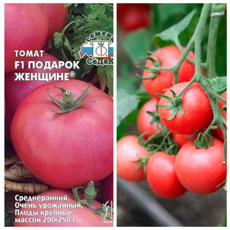 Урожайность