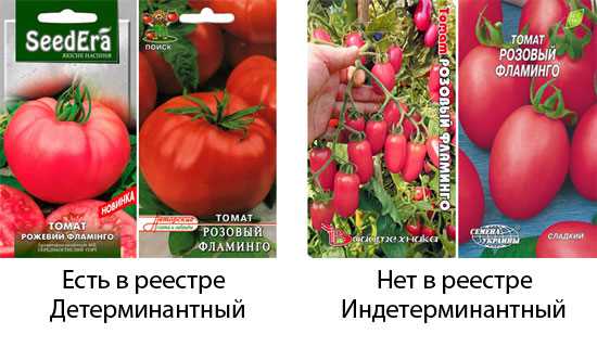 Особенности