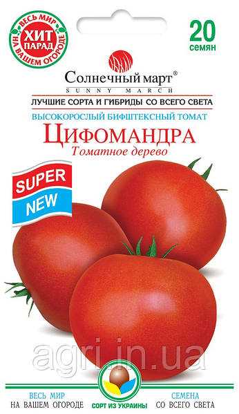 История