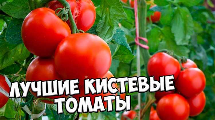 Выбор