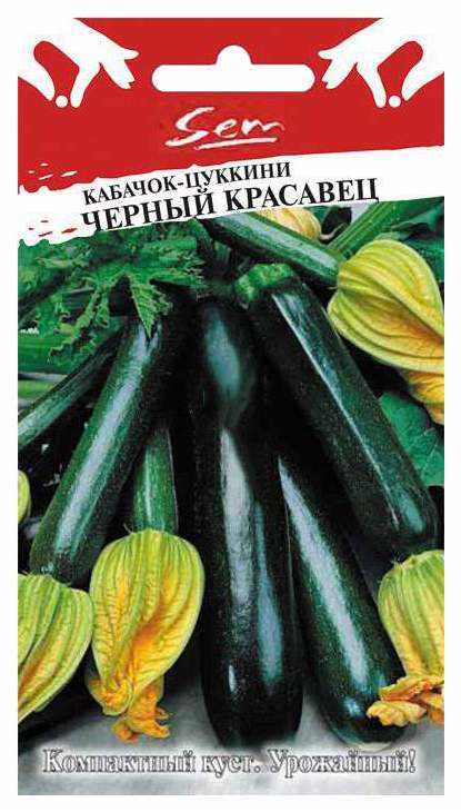 Цуккини