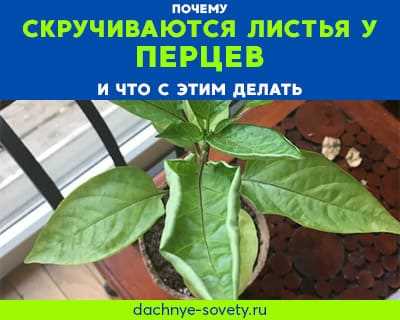 Переохлаждение