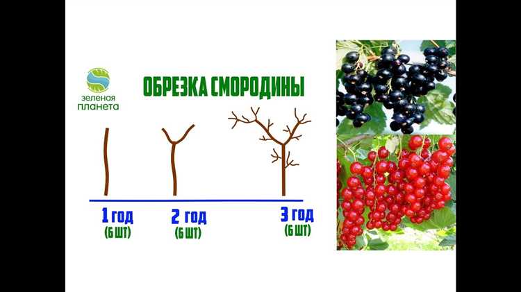 Полезные