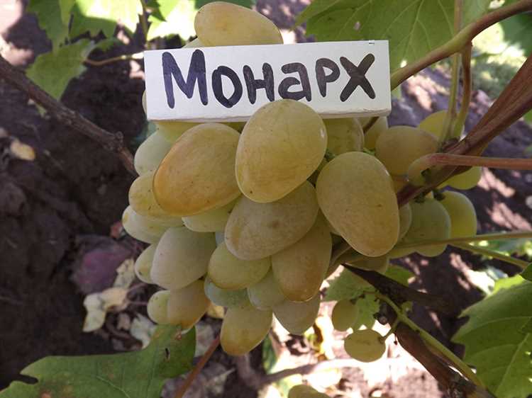 Отзывы