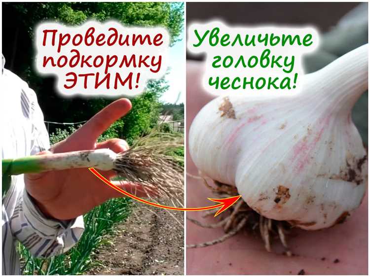 Выберите