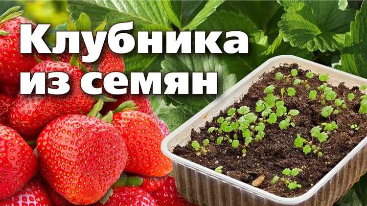 Выбор