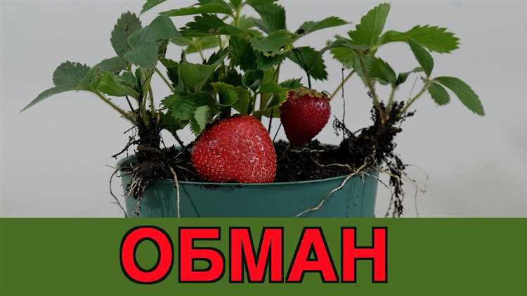 Подготовка