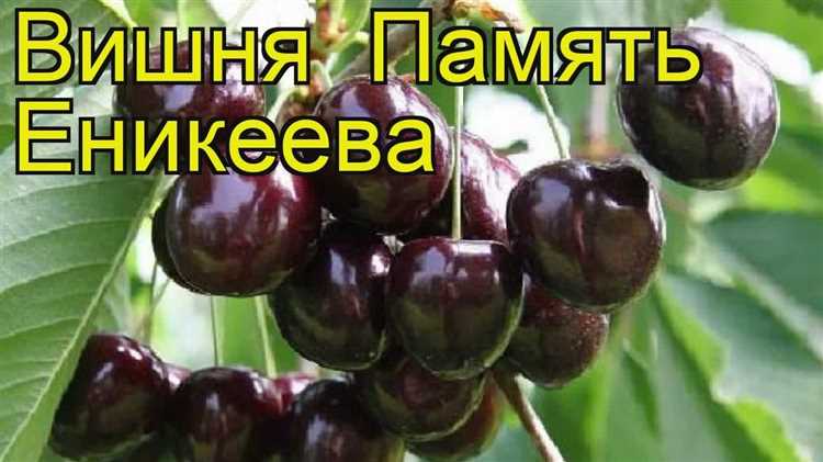 Факты