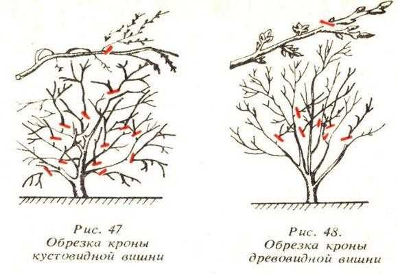 Подготовка