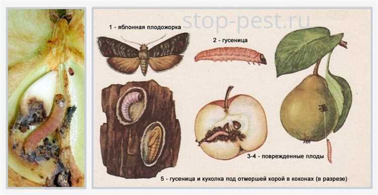 Способы